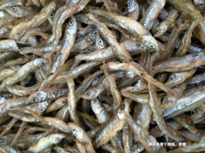 越南康氏側(cè)帶小公魚進(jìn)口報關(guān)流程到廣州南沙案例